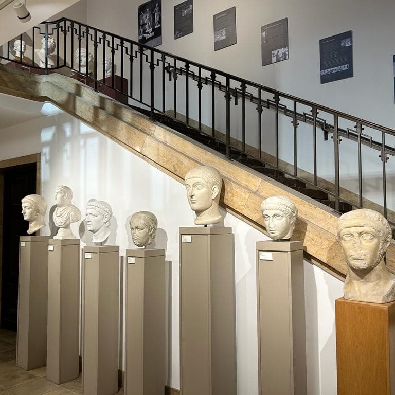 A row of Roman portrait casts displayed inside the Museum für Abgüsse Klassischer Bildwerke.
