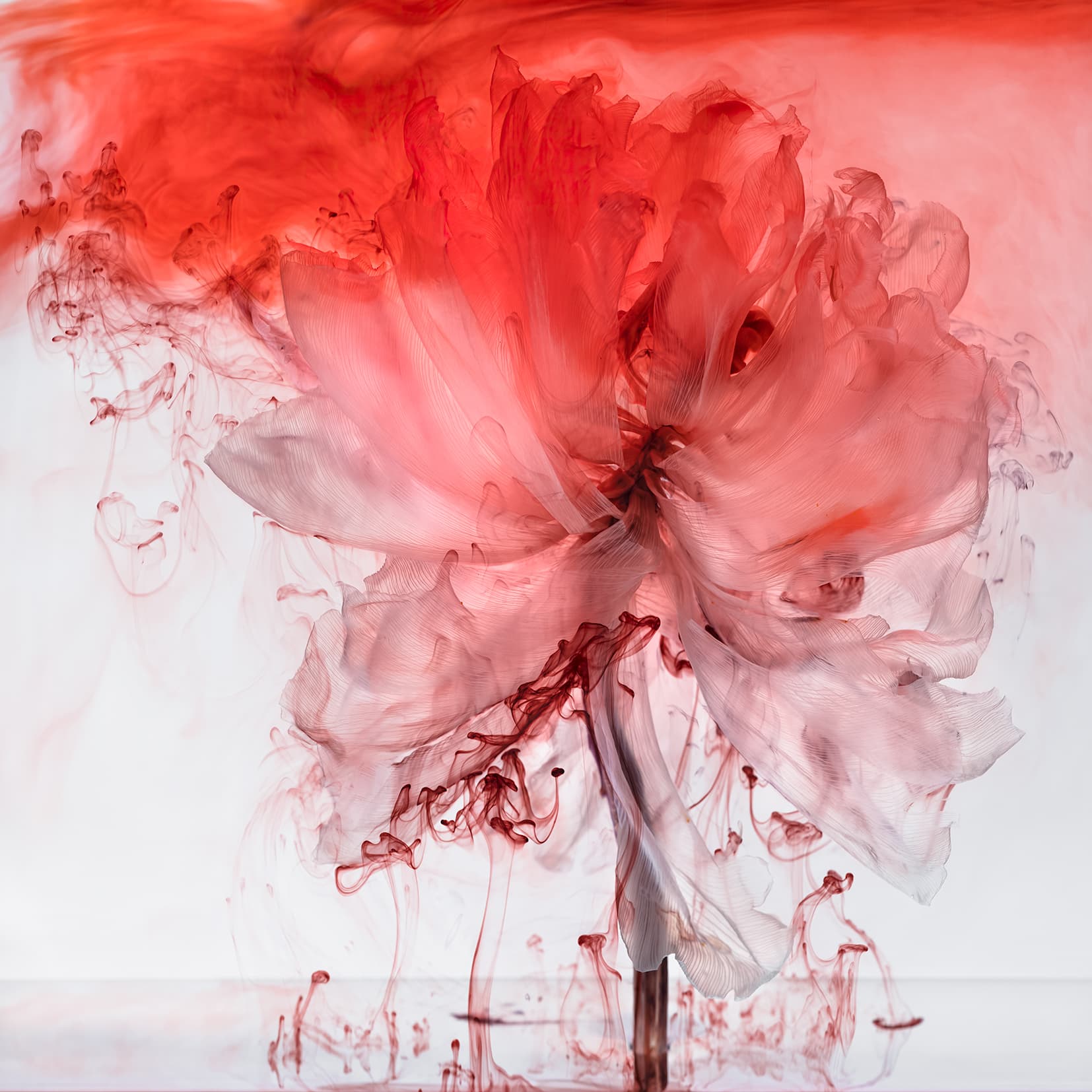 Promotional image for Bergson Gallery Führung: EARTH MATTERS.