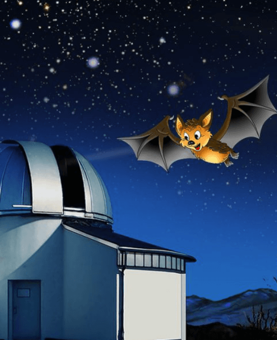 Children seated under a planetarium dome watching a projected starry sky