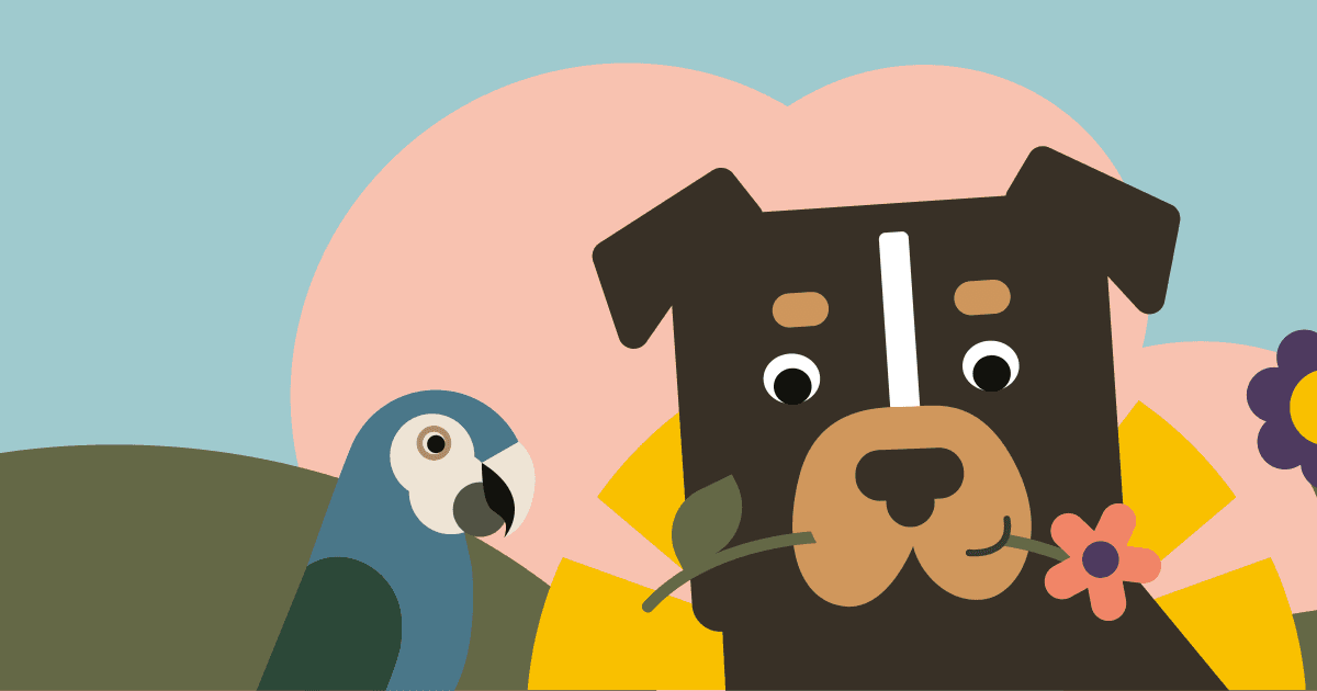 Illustrated banner for the Munich animal shelter’s 2026 summer and listed-dog festival.